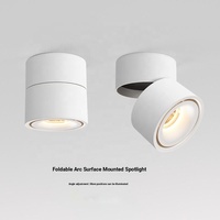 CANMEIJIA Projecteurs LED d'intérieur modernes Aluminium Rond Réglable Lumière vers le bas Monté en surface COB Base PC Corps pour le salon