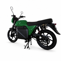Dark Green Heavy Duty Electric Street Bike with Swappable Battery and 3700W Motor E68GS Africa Cargo Motorcycle