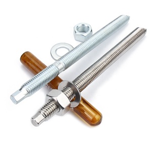 Bulloni di Ancoraggio Chimici in Acciaio Inox e Acciaio al Carbonio M8 M10 M12 M14 M16 M18 M20 M24 M27 M30 - Product Image 3