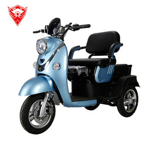 Triciclo eléctrico para adultos 500W -- 1000W Motor sin escobillas <span class=keywords><strong>Precio</strong></span> <span class=keywords><strong>Mini</strong></span> triciclo eléctrico para adultos - Product Image 3