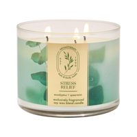 Bougie artisanale Oshine à la menthe verte et à l'eucalyptus, 3 mèches, en cire de soja, parfum longue durée, haute concentration d'aromathérapie pour la maison