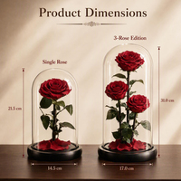 Articles décoratifs pour bureau à domicile, cadeaux de festival, faites-vous plaisir, couleur personnalisée, fleurs éternelles, roses roses, bleues, rouges.