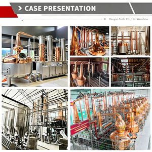 Distillateur commercial artisanal haut de gamme DYE pour le <span class=keywords><strong>gin</strong></span>, le whisky et autres spiritueux, conçu pour les distilleries artisanales - Product Image 4