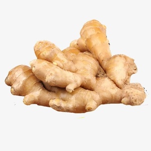 ขิงสดออร์แกนิกคุณภาพสูง ยี่ห้อหยงเจียง ได้รับการรับรองมาตรฐาน GAP ส่งตรงจากกวางสี สำหรับทำอาหาร - Product Image 3