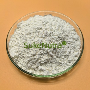Poudre <span class=keywords><strong>Probiotique</strong></span> AKK Akkermansia Muciniphila |   Réparation de la barrière intestinale, gestion du poids, complément alimentaire pour la santé métabolique - Product Image 2