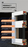 Ventana Fija Abatible de Doble Vidrio UPVC Personalizada para Villa, Diseño Moderno, Impermeable y Resistente al Viento, Garantía de 3 Años