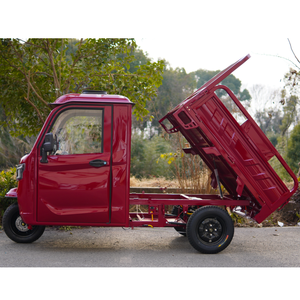 Entrepôt de Roumanie DDP EEC COC 3 roues <span class=keywords><strong>Cargo</strong></span> Bike Grand Space Trike Truck Tricycle électrique avec porte monobloc - Product Image 6