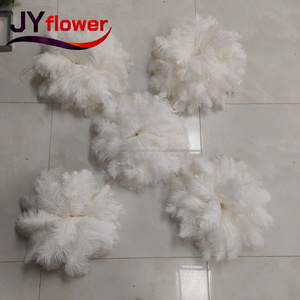 JY Venta al por Mayor <span class=keywords><strong>de</strong></span> Plumas <span class=keywords><strong>de</strong></span> Avestruz Realistas Hechas a Mano <span class=keywords><strong>de</strong></span> 60 cm <span class=keywords><strong>de</strong></span> Largo, Decoración <span class=keywords><strong>de</strong></span> Pared, Tela Natural <span class=keywords><strong>de</strong></span> Lujo, Plumas a Granel Baratas para Bodas, Día <span class=keywords><strong>de</strong></span> la Madre - Product Image 4