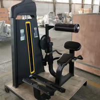 Fournisseur professionnel fabricant chinois fournir dos machines d'extension exercice musculation pour multi gym