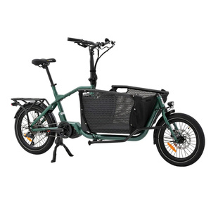 Bicicleta Eléctrica de Carga 36V 250W, Bicicleta Eléctrica de Carga con Neumáticos Anchos, Las Mejores Bicicletas Eléctricas de Carga - Product Image 1