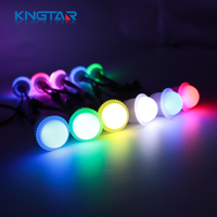 Carnaval 26mm Pixel LED changeant de couleur lampe PVC corps 12V éclairage de fête foraine pour parc d'attractions parc à thème et carrousel