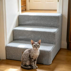 Escalier pour animaux de compagnie à 3 marches, échelle pour chat et chien, antidérapant, mousse amovible pour canapé, lit, voiture, intérieur, chiens de petite et moyenne taille - Product Image 2