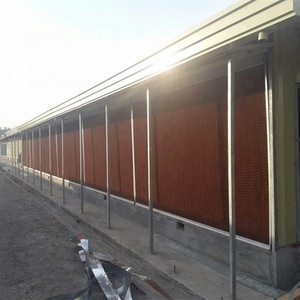 Equipo Avícola Automático para Paraguay: Silo, Comedero, Bebedero y Extrator - Panel de Refrigeración - Controlador para Galpón de Pollos - Product Image 3