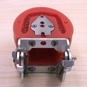 نماذج أسنان طبية تعليمية للعرض، نماذج أسنان مصنوعة من الراتنج للتدريب والتعليم - Product Image 4