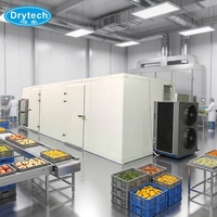 3500 kg capaciteit fruitdroger, kokosdroogmachine, aardbeidroger te koop