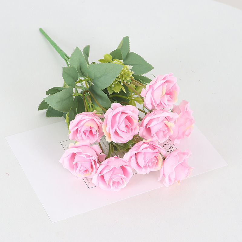 Rosa
