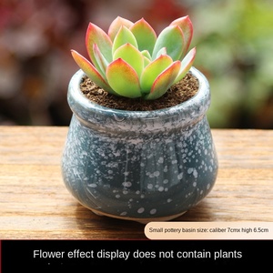 Maceta de Cerámica para Suculentas, Diseño Simple, Resistente a la Corrosión, Transpirable, Mini, Creativa, de Cerámica Rústica, OEM ODM - Product Image 5