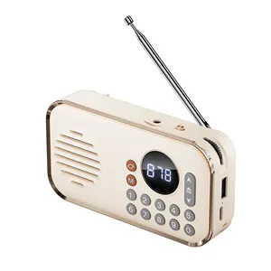 P35 pabrik OEM grosir Radio nirkabel portabel Radio Vintage USB pengeras suara nirkabel AM FM Radio Multi-band