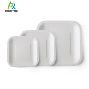 White Disposable Paper Plates White Cake Dish Packaging Food Tray