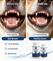 Poudre dentaire pour animaux de compagnie Chiens Chats Hygiène buccale Haleine fraîche Nettoyant pour dents Poudre probiotique aux algues Supplément OEM