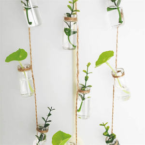 Mini botellas <span class=keywords><strong>de</strong></span> vidrio con tapones <span class=keywords><strong>de</strong></span> corcho para decoración/Arte/recuerdos <span class=keywords><strong>de</strong></span> fiesta, 20ml - Product Image 6