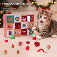 Calendrier de l'Avent pour animaux de compagnie le plus vendu sur Alibaba, boîte cadeau avec balles en plastique colorées assorties, jouet interactif géométrique de dessin animé