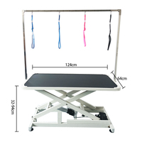 Table de toilettage électrique pour animaux de compagnie en acier inoxydable, robuste, réglable en hauteur, avec plateau antidérapant