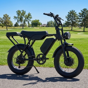 ORIGINAL US-Lagerbestand: Wins T8 Elektro-Mountainbike mit Scheibenbremsen für Straße, Gelände und Erwachsene - Product Image 1