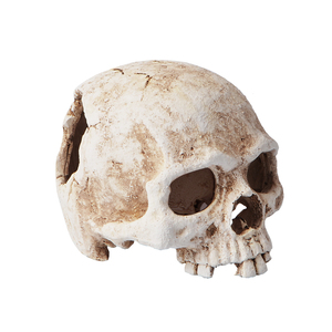 Cachette de grotte de crâne de reptile carrée en plastique écologique pour lézards serpents geckos boîte tortues aquarium aquariums accessoires - Product Image 1