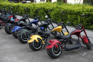 มอเตอร์ไฟฟ้าสกู๊ตเตอร์ผู้ใหญ่,1000 Watt 2000W Racing <span class=keywords><strong>Sealup</strong></span> Blade จักรยานสามล้อสำหรับตีกอล์ฟกับ Eec - Product Image 6