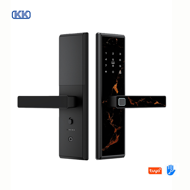 Security Digit Electric Electronic Handle Digital Tuya Ttlock Cerraduras Inteligentes Con Wifi Keys Fingerprint Door Smart Locks