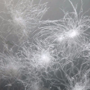 Haute qualité en gros 70% bonne puissance <span class=keywords><strong>de</strong></span> remplissage lavable en Machine USA Starand plume <span class=keywords><strong>de</strong></span> duvet <span class=keywords><strong>de</strong></span> <span class=keywords><strong>canard</strong></span> blanc naturel à vendre - Product Image 1