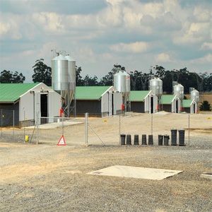 Ferme agrícola <span class=keywords><strong>galera</strong></span> para pollos, granja de pollos, 1000 - Product Image 6