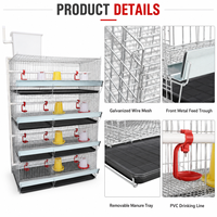Nouveau système de cage d'élevage HK H-4-Tier à haute résistance à la corrosion pour poussins, avec élimination automatique du fumier et longue durée de vie pour la volaille