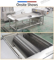Cortadora Industrial Continua de Verduras de Hoja (Acelga, Repollo) de 3-5T/H con Cuchilla de Rodillo, Tamaño Personalizable, Motor SUS304
