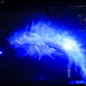 3D Hologram công nghệ thiết bị chiếu trên màn hình nước Chiếu Đài phun nước hiện đại trang trí với đèn - Product Image 1