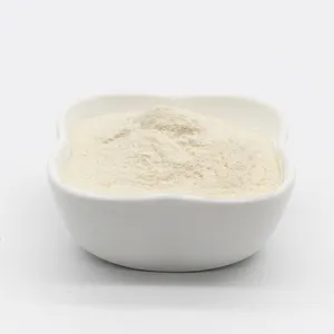 Bubuk putih bahan kimia aditif makanan xanthan gum supplier
