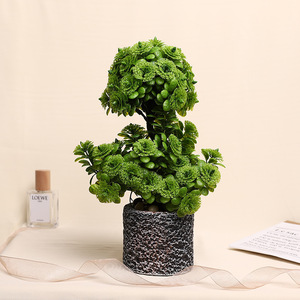 Plante artificielle en rose Jinhe 9x9x28cm, fleur en soie, décoration intérieure, verdure - Product Image 1