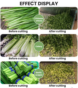 Máquina Industrial Motorizada <span class=keywords><strong>de</strong></span> Acero Inoxidable para Picar y Rebanar Vegetales <span class=keywords><strong>de</strong></span> Hoja como Repollo, Cebolla, Zanahoria, Pepino, Patata y Apio - Product Image 2