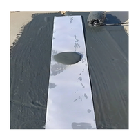 Caoutchouc de silicone liquide de revêtement répulsif imperméable Nano coloré et acide acrylique pour l'application de toit et de mur