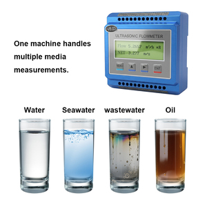 Misuratore di Flusso a Ultrasuoni Digitale Economico con Morsetto, Protezione IP65, Precisione 1%, Sensore Personalizzabile per Misurazione Flusso d'Acqua - Product Image 3