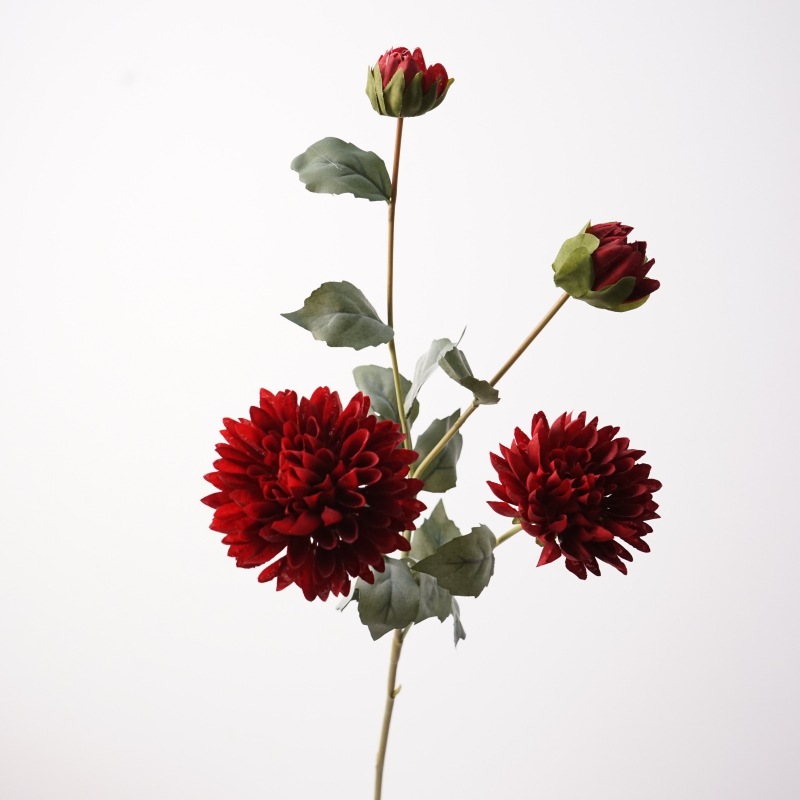 4 head cornflower-big red