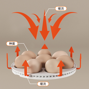 Incubadora de Huevos de Gallina, Producto Nuevo, 8/12/16 Huevos de Aves, Incubadora Automática de Huevos de Ganso, Máquina de Codorniz para Enseñar a los Niños - Product Image 6