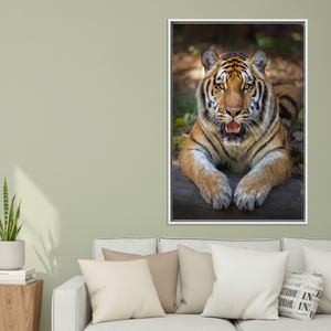 Lying Tiger Canvas Print: Realistic Jungle Cat <b>Wall</b> <b>Art</b>,WHITE <b>FRAMED</b> CANVAS - Product Image 3
