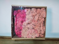 HFloral Naturel Conservé Renne Mousse Supermoss Fond Mur DIY Stabilisé Mousse Hôtel Bureau Décoratif Frais En Gros
