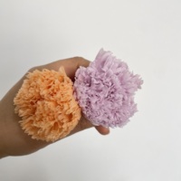 Bunga Anyelir Putih Pink Merah Asli Awet 4cm 4-5cm Grosir Yunnan untuk Hari Ibu Hari Valentine