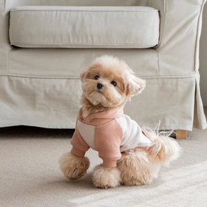 Hooded Dog Sweatshirt Pet <strong>Clothes</strong> Soft Warm Two-Tone Hoodie with Pocket - Product Image 2