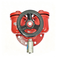 Adaptor Pompa Kebakaran Multiguna di Atas Tanah Wanlian SQD100-1.6, DN100, Besi Ulet Berlapis Bubuk
