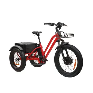 KAIYI etrike 20 24 pulgadas ebike UE EE. UU. Entrega de neumáticos gordos bicicleta eléctrica de carga cesta trasera delantera 48V bicicleta eléctrica de 3 ruedas para adultos