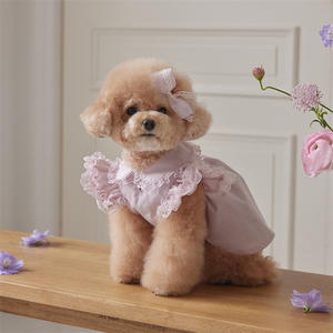 Jupe de luxe tendance pour animaux de compagnie, style princesse, avec dentelle en polyester, pour chiots, collection été-printemps - Product Image 2